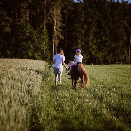 Stixenhof - Ferienwohnung Heidi Nehmeier Haundorf Eksteriør bilde